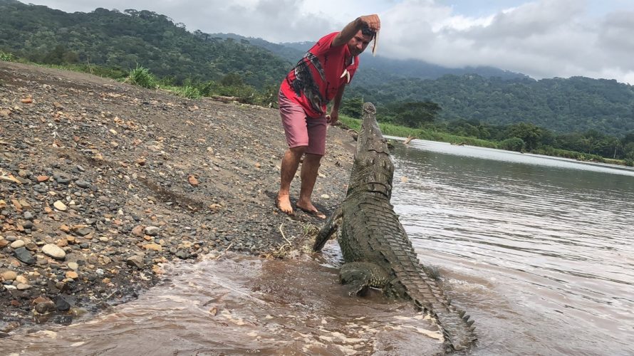 【コスタリカ】軍隊の無い平和な国!?中米・コスタリカは熱帯雨林と野生動物の宝庫だった!